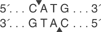 CviAIIcutsite_1_v1_000015