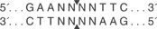 Xmn-I-cutsite_1