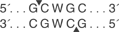 ApeKIcutsite_1_v1_000015