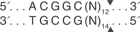 BceA-I-cutsite_1_v1_000013