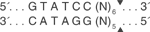 BciV-I-cutsite_1