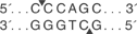 BseY-I-cutsite_1_v1_000014