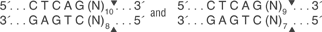 BspCN-I-cutsite_1_v1_000014