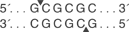 BssH-II-cutsite_1