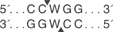 BstN-I-cutsite_1