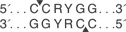 Btg-I-cutsite_1