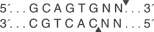 Btsa-I-cutsite_1
