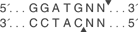 BtsCI_cutsite