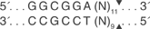 Eci-I-cutsite_1