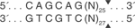 EcoP15Icutsite_1