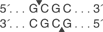 HinP1-I-cutsite_1