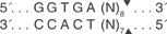 Hph-I-cutsite_1