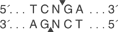 Hpy188-I-cutsite_1_v1_000015