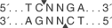 Hpy188-III-cutsite_1_v1_000018