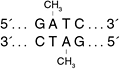 M0222damMethyl_thumb