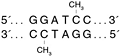 M0223BamHIMethyl_thumb