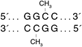 M0224HaeIIImethyl_thumb