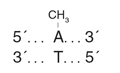M0603 cutsite image