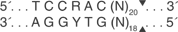 Mme-I-cutsite_1_v1_000018