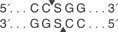 Nci-I-cutsite_1
