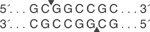 noti enzyme noti enzyme
