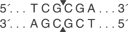 Nru-I-HF-cutsite_1
