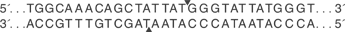 PI-Psp-I-cutsite_1