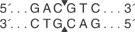 R0659_cutsite