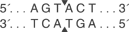 Sca-I-cutsite_1