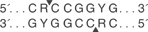 SgrA-I-cutsite_1