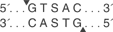 Tsp45-I-cutsite_1