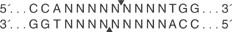 Xcm-I-cutsite_1