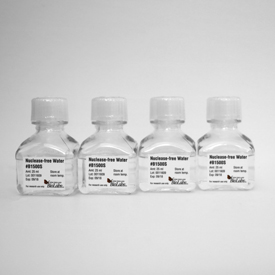 Nuclease Free Water Neb
