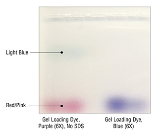 gel loading dye purple 6x no sds neb