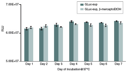 Figure 4: Stability of Gaussia Luciferase at 37°C over a period of seven days. 