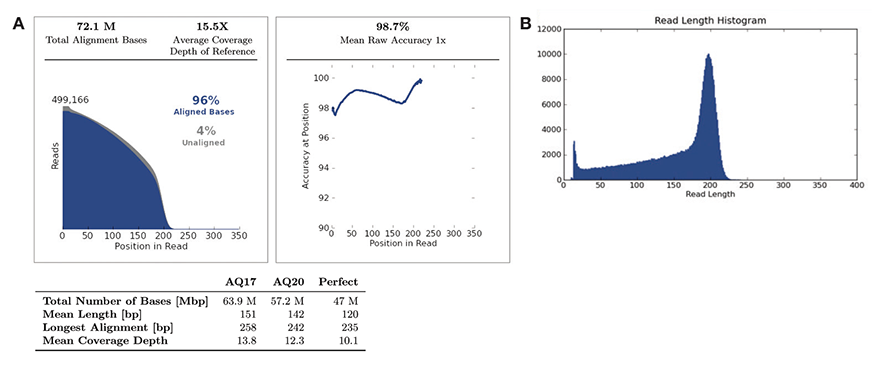 Nebnext Fast Dna Library Prep Set For Ion Torrent Neb