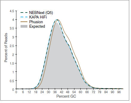 Render Seks økse NEBNext® High-Fidelity 2X PCR Master Mix | NEB
