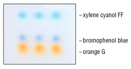 tridye 1 kb dna ladder neb