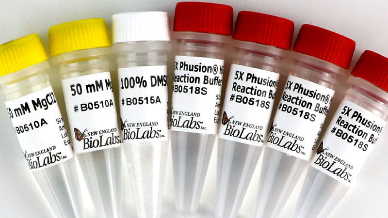 Phusion HF Buffer Pack