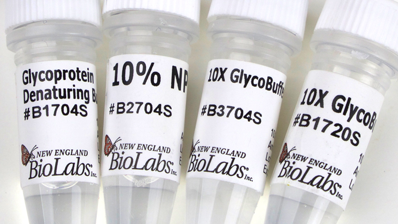 Endoglycosidase Reaction Buffer Pack