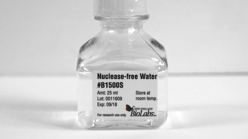 Nuclease free Water