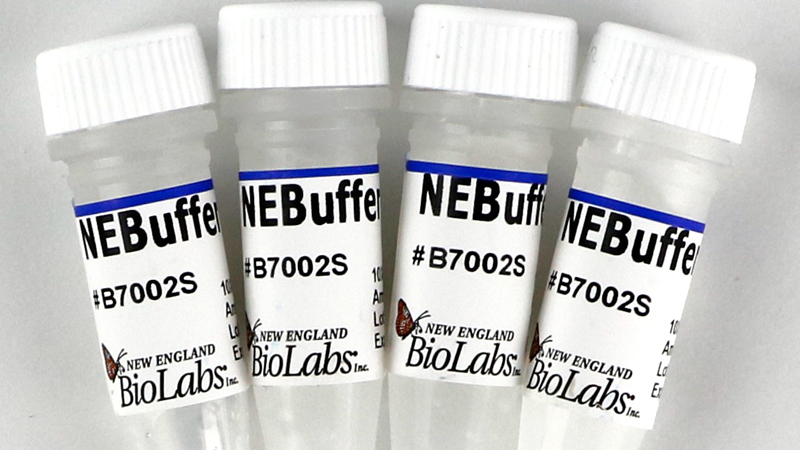NEBuffer 2