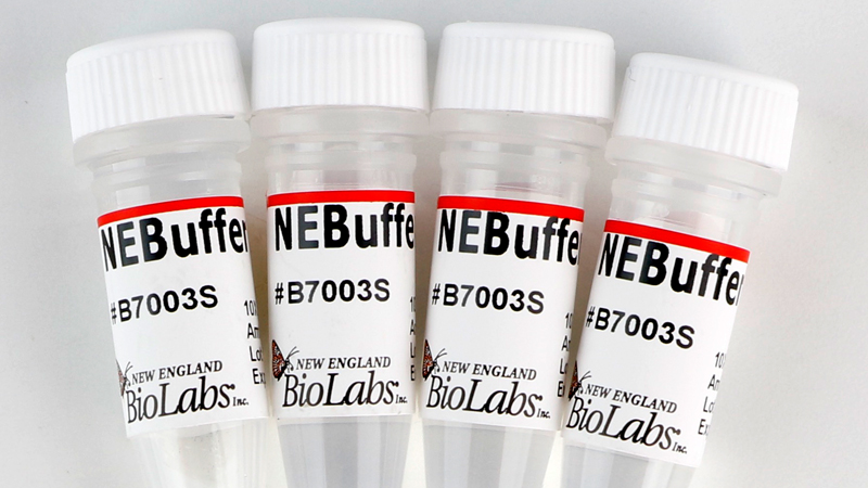 NEBuffer 3