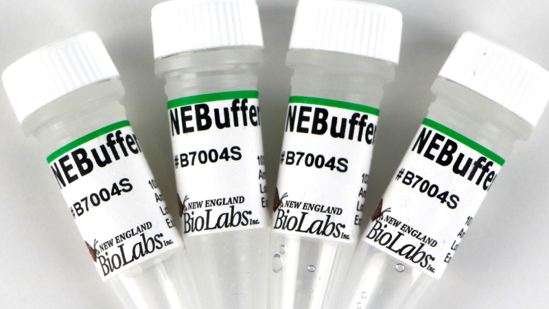 NEBuffer 4