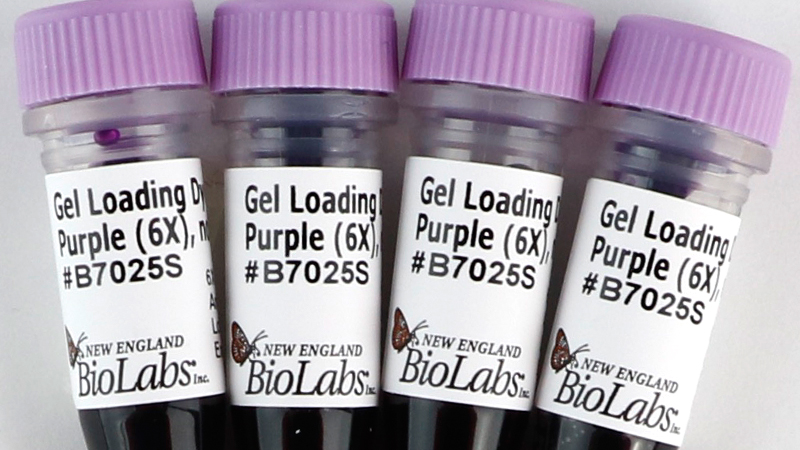 Gel Loading Dye Purple 6X no SDS