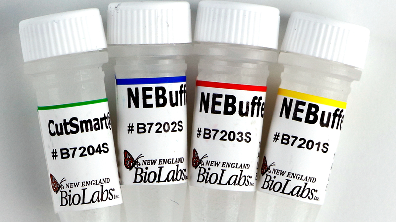 NEBuffer Set 1 1 2 1 3 1 and CutSmart