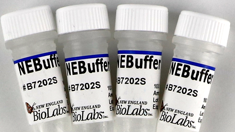 NEBuffer 2 1