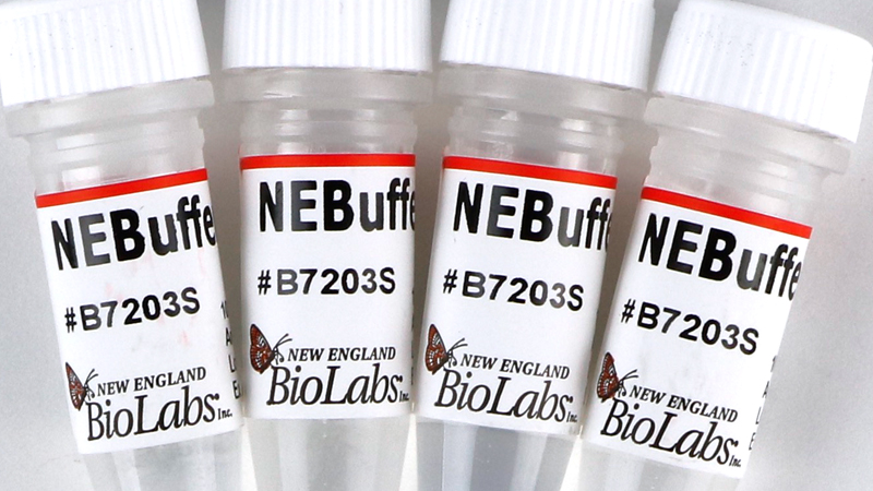 NEBuffer 3 1