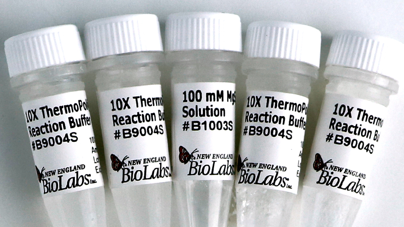 ThermoPol Reaction Buffer Pack