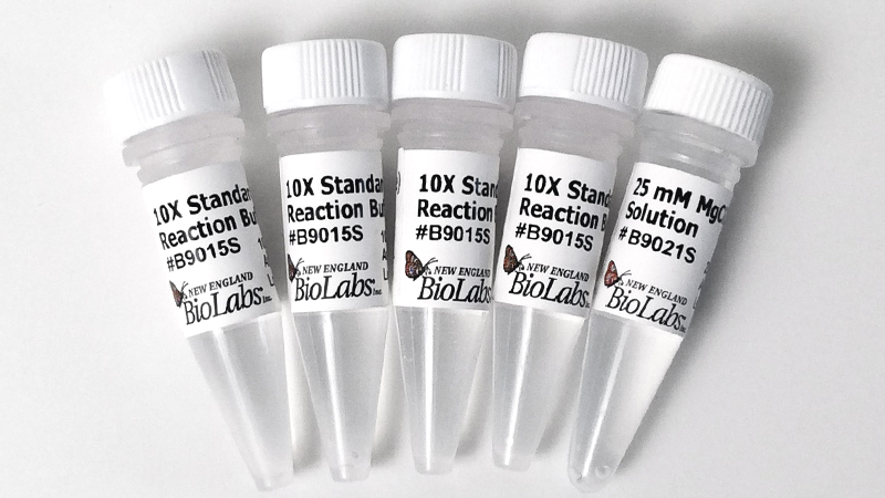 Standard Taq Mg free Reaction Buffer Pack